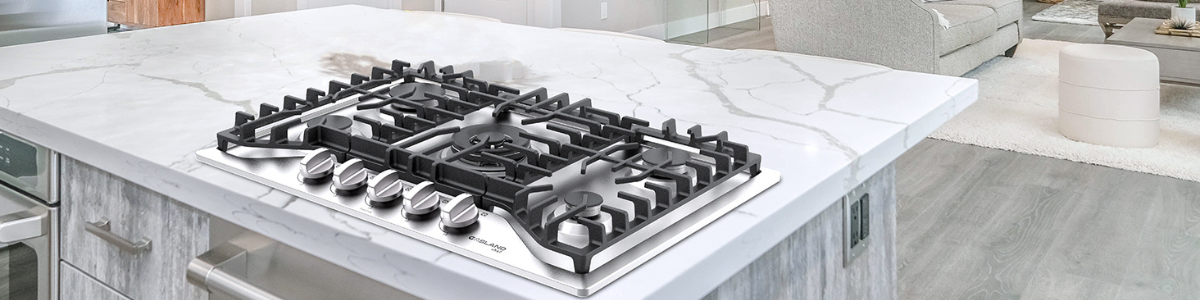 Stainless Steel Gas Cooktop
