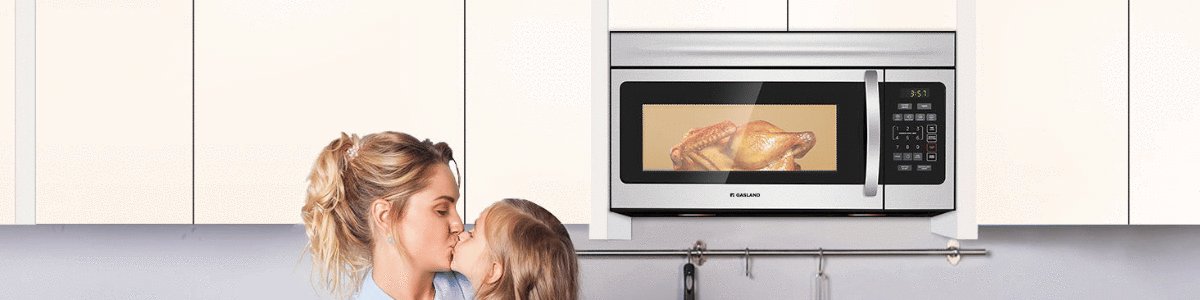 Microwave Oven - Gaslandchef