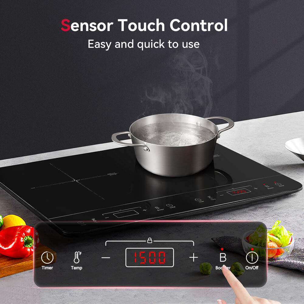 24 in. Portable Countertop Electric Induction Cooktop in Black with 2 Elements Gaslandchef