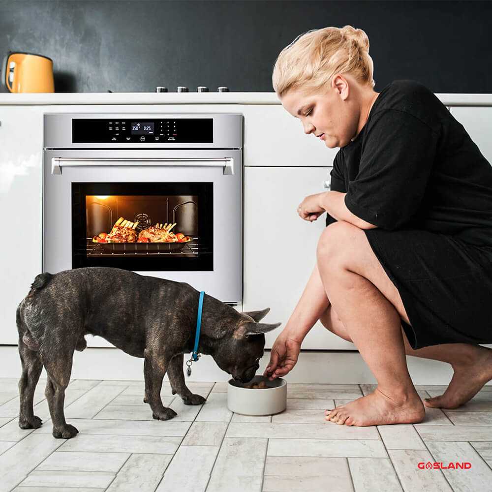 Oven-Pro ES778TS-GASLAND Chef